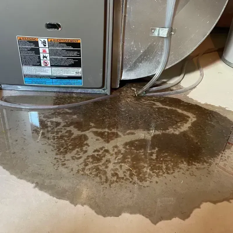 Appliance Leak Cleanup in Carlisle, KY